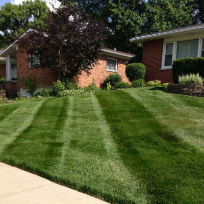 lawn mowing front lawn